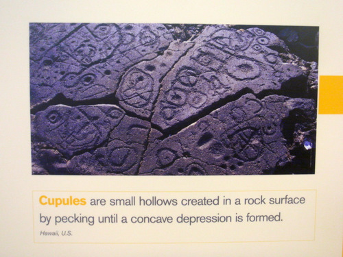 Cupules explained.